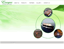 Tablet Screenshot of envirogasasia.com